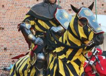 Sandomierski Ośrodek Kawaleryjski na XV Międzynarodowym Turnieju Rycerskim w Łęczycy. — zdjęcie 11 z 11